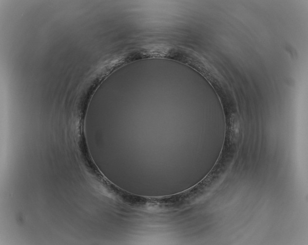 X0000113050641200909101940