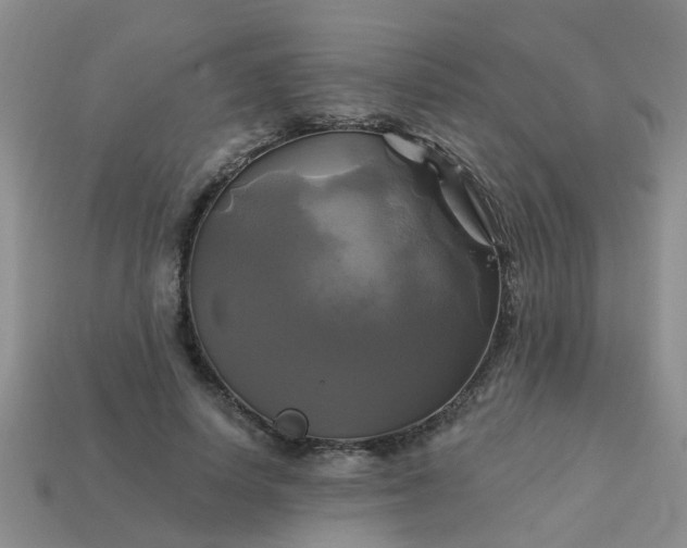 X0000113050642200909101940