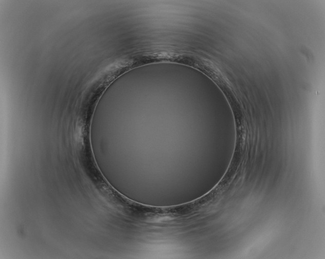 X0000113050643200909101940