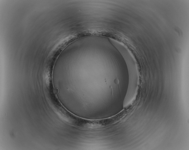 X0000113050644200909101940