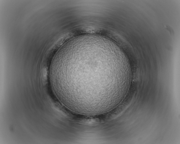 X0000113050646200909101940