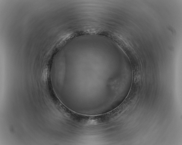 X0000113050647200909101940