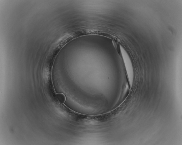 X0000113050648200909101940