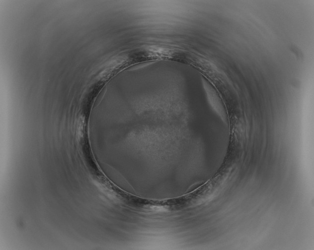 X0000113050649200909101940