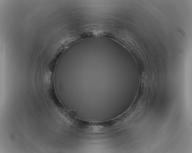 X0000113050650200909101940