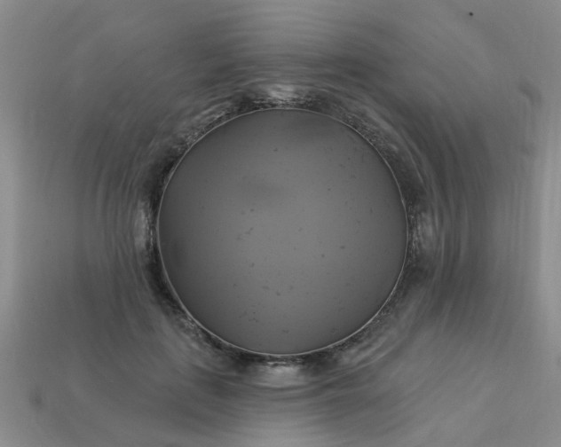 X0000113050651200909101940