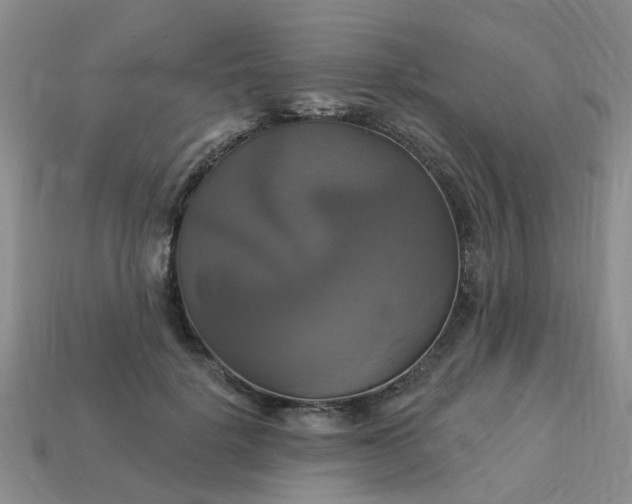 X0000113050652200909101940