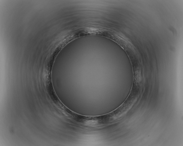 X0000113050653200909101940