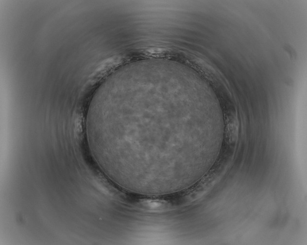 X0000113050654200909101940