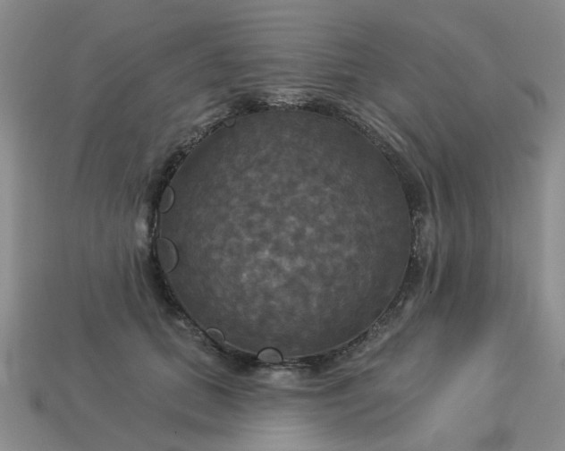 X0000113050655200909101940