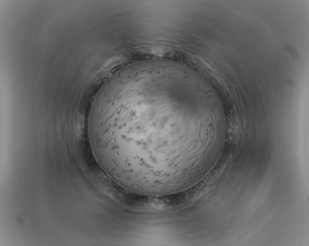 X0000113050656200909101940