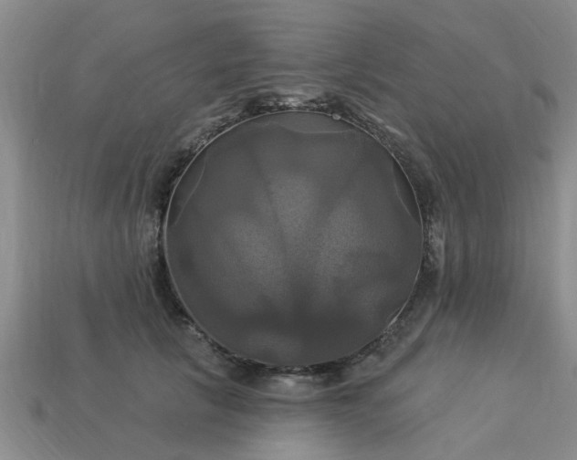 X0000113050657200909101940