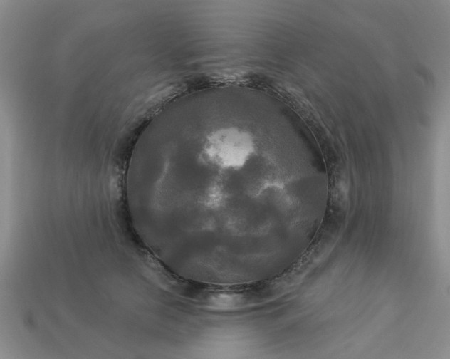 X0000113050658200909101940