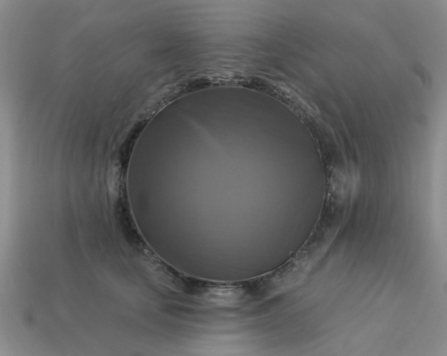 X0000113050659200909101940