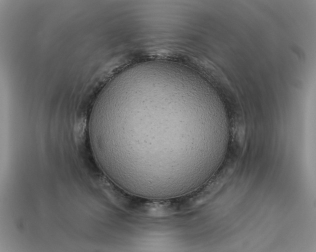 X0000113050660200909101940