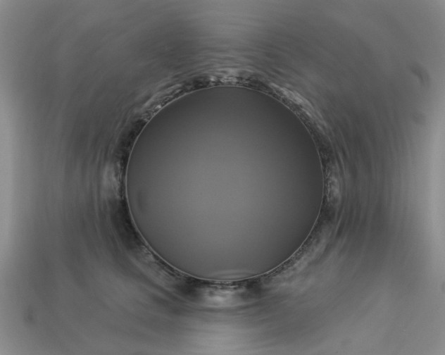 X0000113050661200909101940