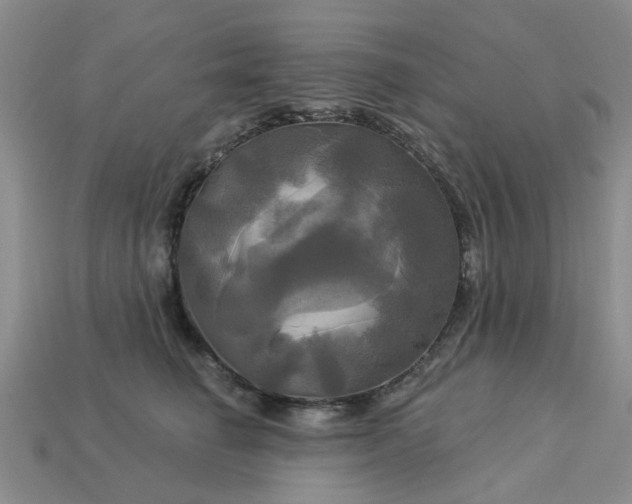 X0000113050662200909101940