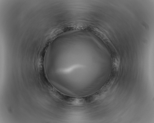 X0000113050663200909101940