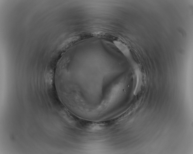 X0000113050664200909101940