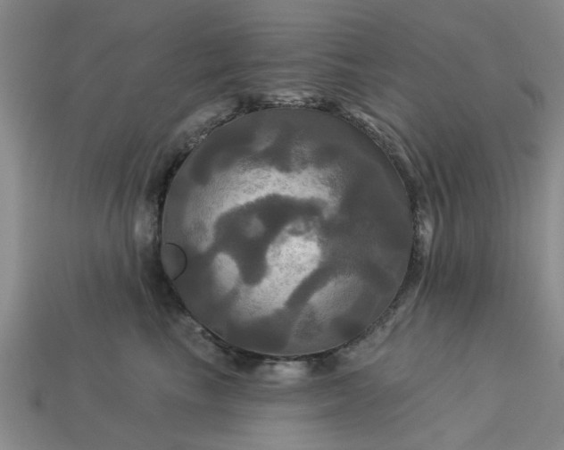 X0000113050665200909101940