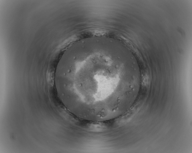 X0000113050666200909101940