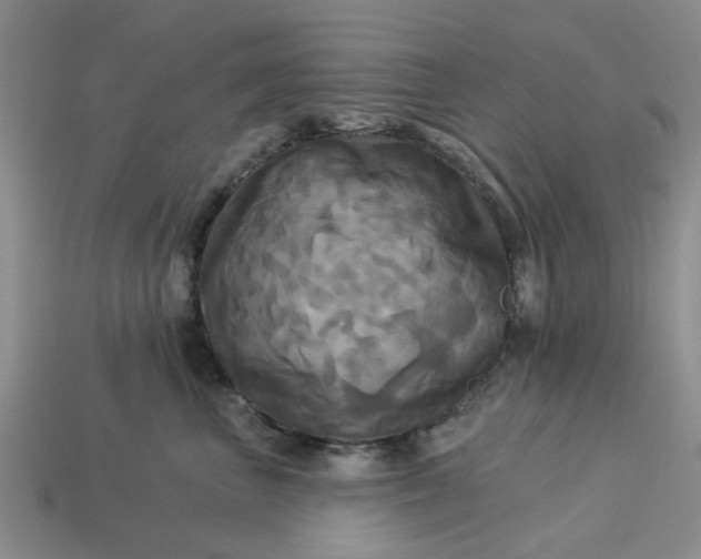 X0000113050667200909101940