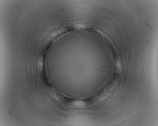 X0000113050668200909101940