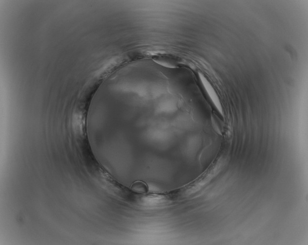 X0000113050669200909101940