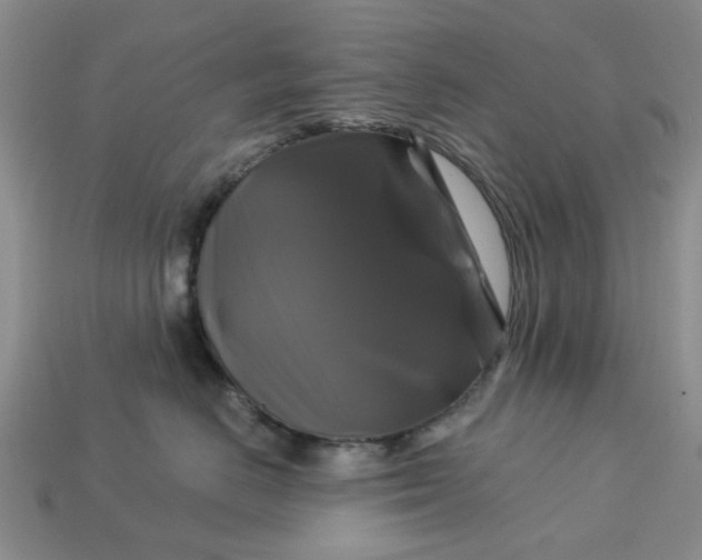 X0000113050670200909101940