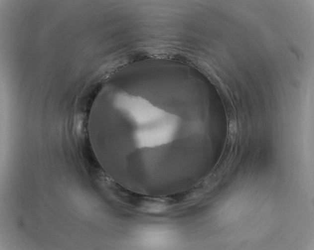 X0000113050671200909101940