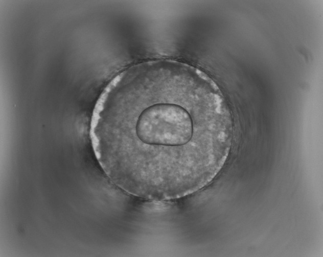 X0000113050672200909101940