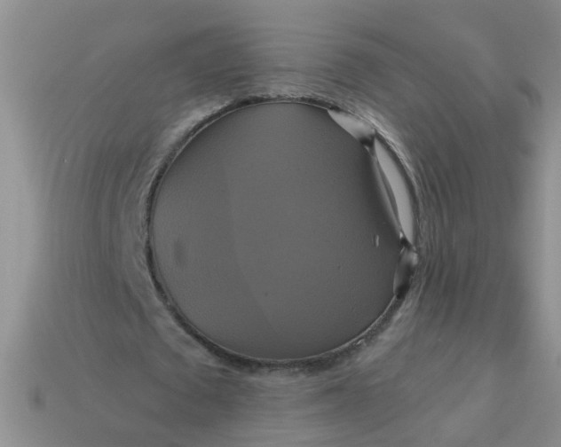 X0000113050673200909101939