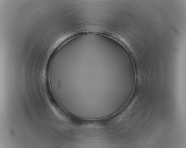 X0000113050674200909101939