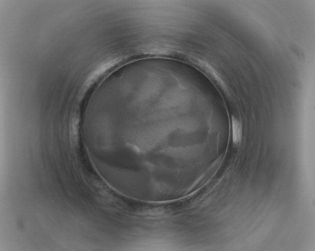 X0000113050675200909101939