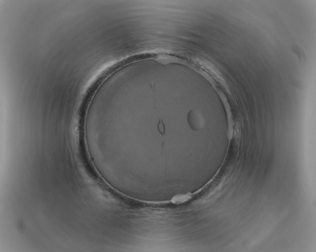 X0000113050676200909101939