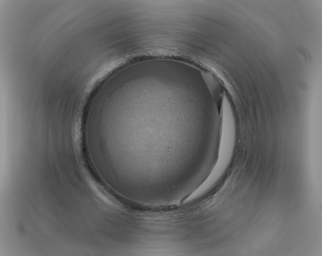 X0000113050677200909101939