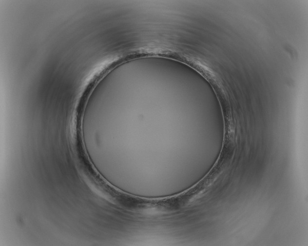 X0000113050678200909101939