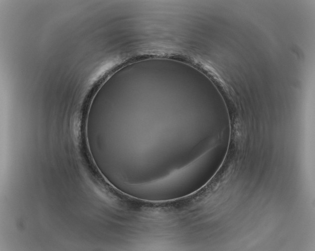 X0000113050679200909101939