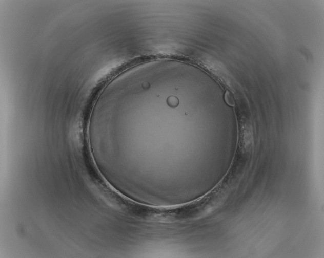 X0000113050680200909101939