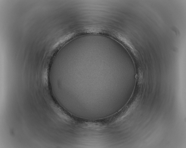 X0000113050681200909101939