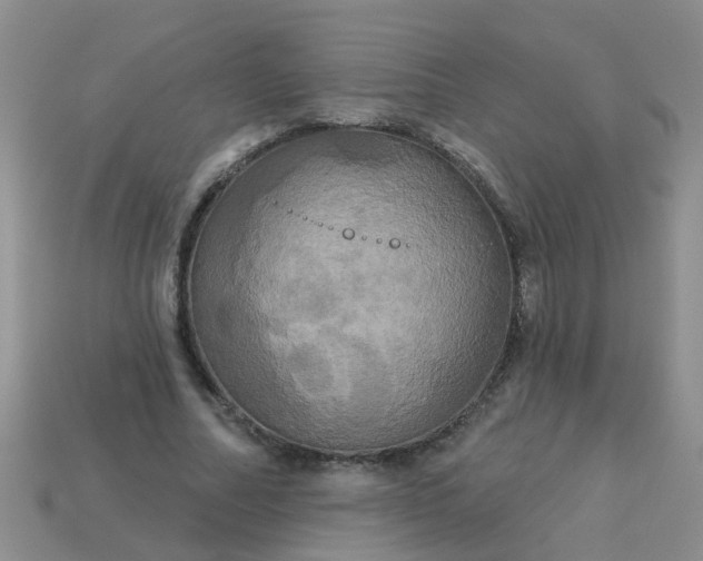 X0000113050682200909101939