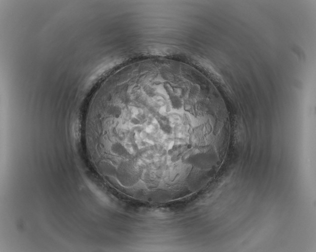 X0000113050683200909101939