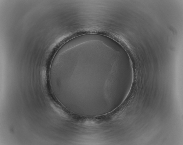 X0000113050684200909101939