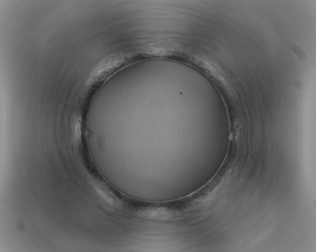 X0000113050685200909101939