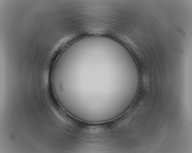 X0000113050686200909101939