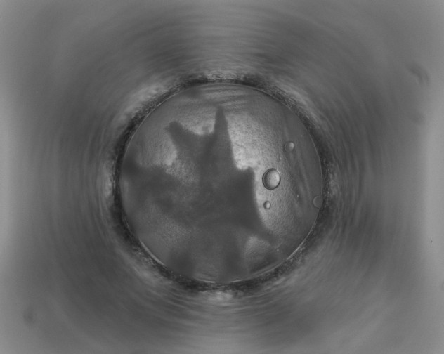 X0000113050687200909101939