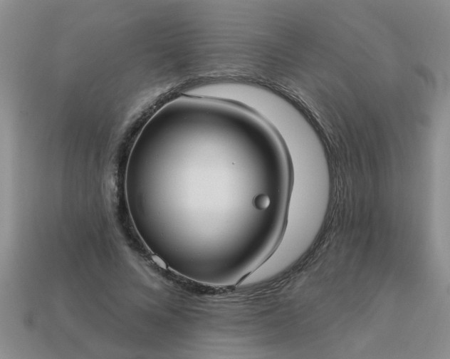 X0000113050688200909101939