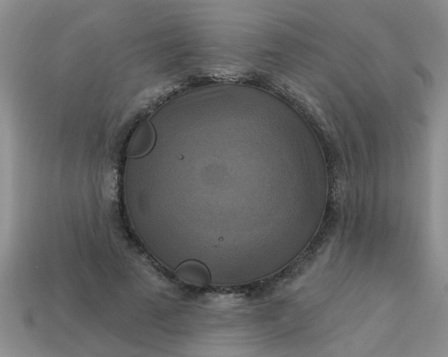 X0000113050689200909101939