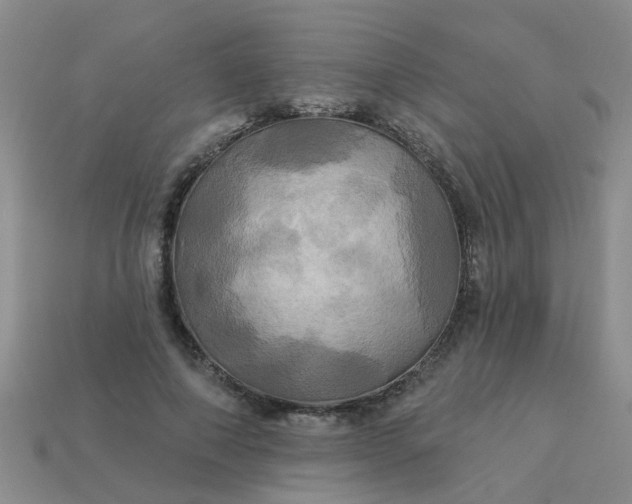 X0000113050690200909101939