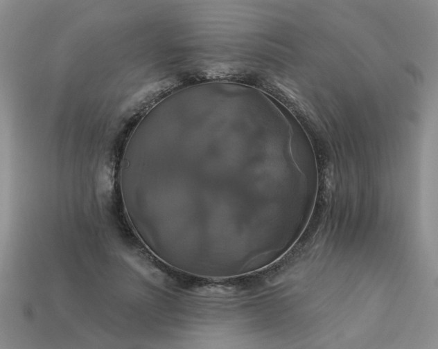 X0000113050691200909101939